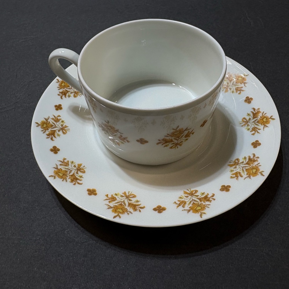 LIMOGES France Cup & Saucers MARCEL ROCHAS Floral Georges Boyer